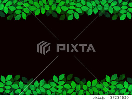 背景素材 木の葉のイラスト素材