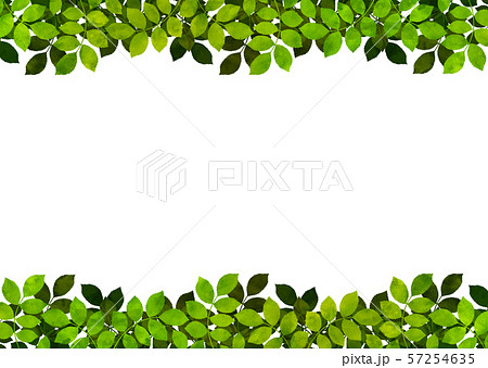 背景素材 木の葉のイラスト素材