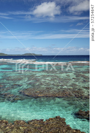 ニューカレドニア ロイヤルティ諸島 マレ島 タディーン海岸のサンゴ礁の写真素材