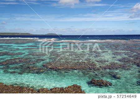 ニューカレドニア  ロイヤルティ諸島　マレ島　タディーン海岸のサンゴ礁 57254649