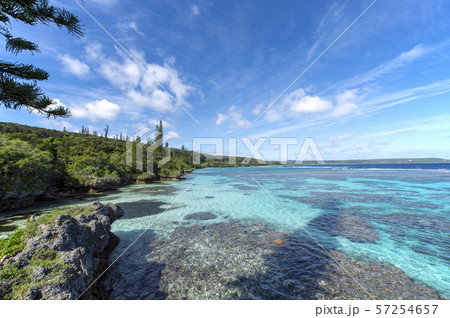 ニューカレドニア ロイヤルティ諸島 マレ島 タディーン海岸のサンゴ礁の写真素材