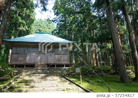 平泉寺白山神社　新緑　拝殿 57254817