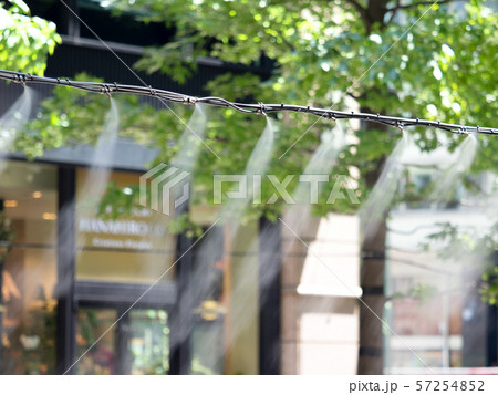 東京都 丸の内仲通りのドライミスト 東京都 丸の内仲通りのドライミスト 57254852