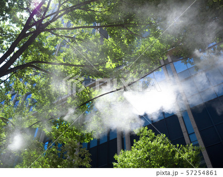 東京都 丸の内仲通りのドライミスト 東京都 丸の内仲通りのドライミスト 57254861