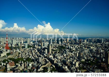 東京都心の風景 57255088