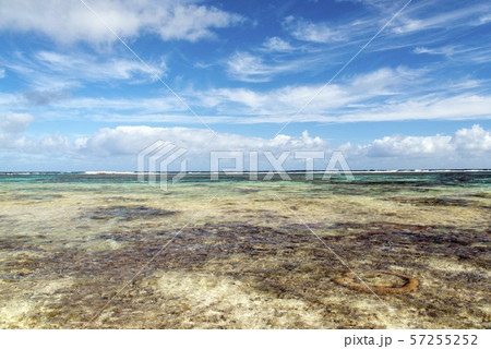 ニューカレドニア ロイヤルティ諸島 マレ島 タディーン海岸のサンゴ礁 ニューカレドニア ロイヤルティ諸島 マレ島 タディーン海岸のサンゴ礁 57255252