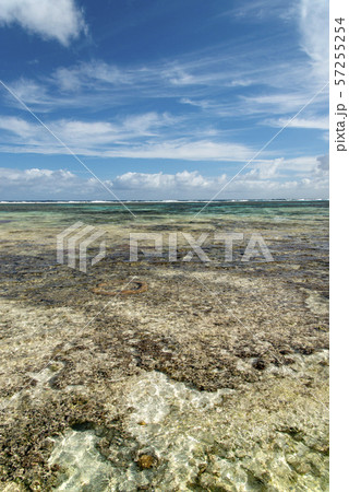 ニューカレドニア  ロイヤルティ諸島　マレ島　ワバオ湾のサンゴ礁 57255254