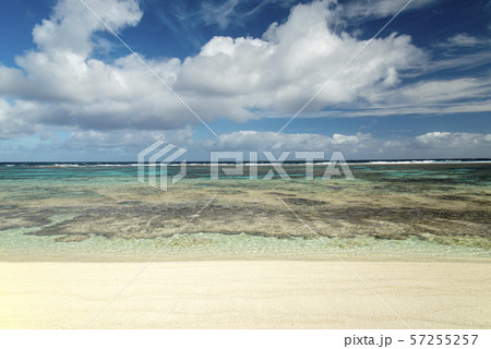 ニューカレドニア  ロイヤルティ諸島　マレ島　ワバオ湾のサンゴ礁 57255257