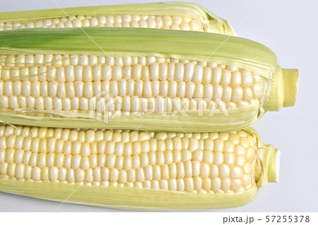 とうもろこし（ロイシーコーン） 57255378