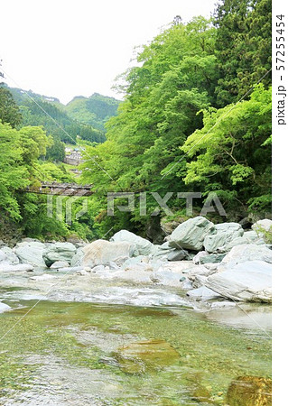 四国　徳島県　祖谷渓谷 57255454