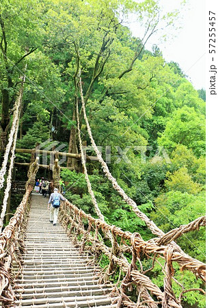 四国 徳島県 かずら橋 四国 徳島県 かずら橋 57255457