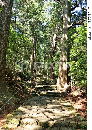 和歌山県　熊野古道　大門坂 57255474