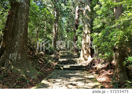 和歌山県　熊野古道　大門坂 57255475