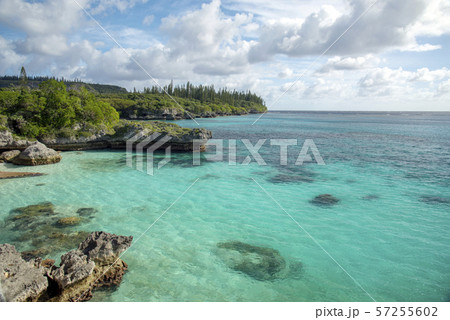 ニューカレドニア ロイヤルティ諸島 マレ島 ペジェビーチ ニューカレドニア ロイヤルティ諸島 マレ島 ペジェビーチ 57255602