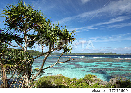 ニューカレドニア ロイヤルティ諸島 マレ島 ペジェビーチのサンゴ礁 ニューカレドニア ロイヤルティ諸島 マレ島 ペジェビーチのサンゴ礁 57255609