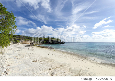 ニューカレドニア ロイヤルティ諸島　マレ島　ペジェビーチ 57255615