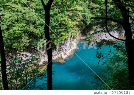 抱返り渓谷 57256185