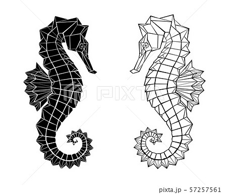 Polygonal seahorse Polygonal seahorse 57257561