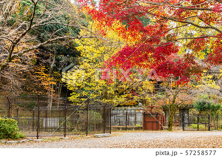 第二疏水水門  蹴上船溜付近の紅葉 第二疏水水門  蹴上船溜付近の紅葉 57258577