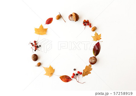 autumn leaves, chestnuts, acorns and berries frame 57258919