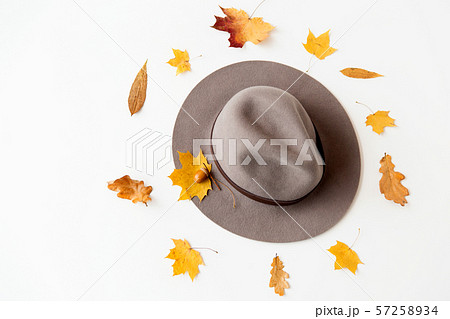hat and fallen autumn leaves on white background hat and fallen autumn leaves on white background 57258934