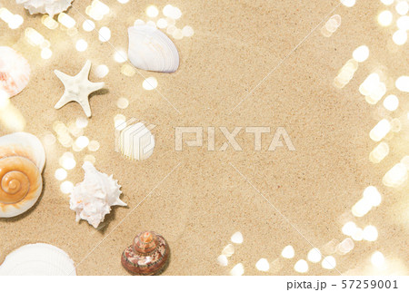 seashells on beach sand seashells on beach sand 57259001