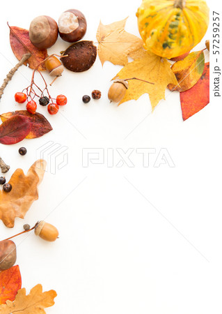 autumn leaves, chestnuts, acorns and berries frame 57259257