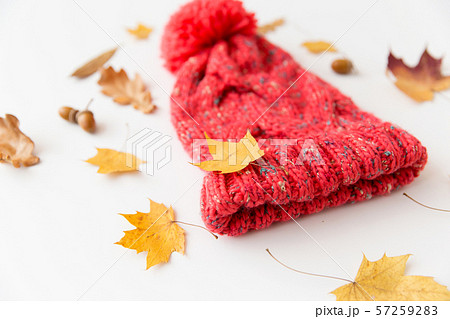 hat and fallen autumn leaves on white background hat and fallen autumn leaves on white background 57259283