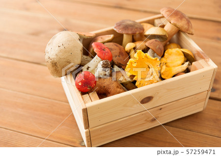 wooden box of different edible mushrooms wooden box of different edible mushrooms 57259471