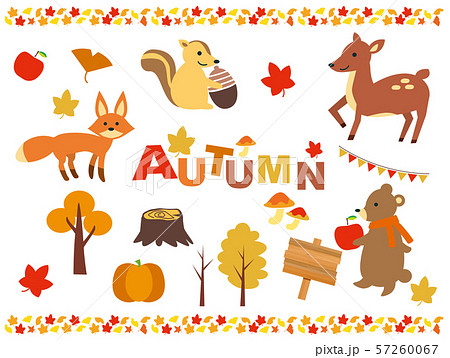 秋の紅葉と動物 秋の紅葉と動物 57260067