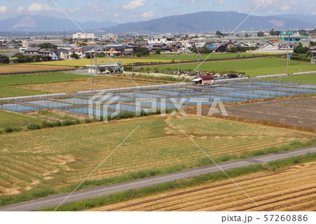 9月の農村風景 9月の農村風景 57260886