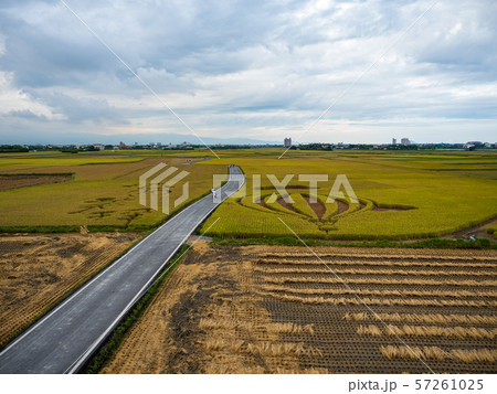 Yilan paddy field Avenue 57261025