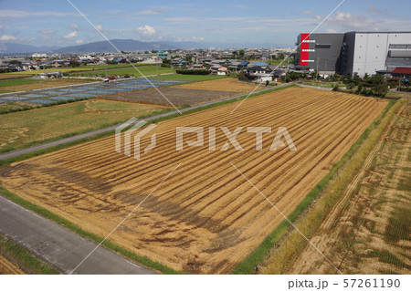 完成した大規模倉庫 完成した大規模倉庫 57261190