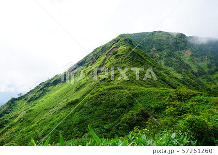 苗場山登山道　祓川ルートから見る苗場山 57261260