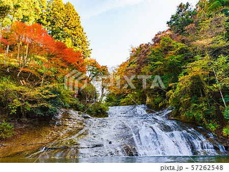日本の秋のイメージ：首都圏を代表する紅葉の名所であり千葉のシンボルの養老渓谷の名瀑　粟又の滝の風景 57262548