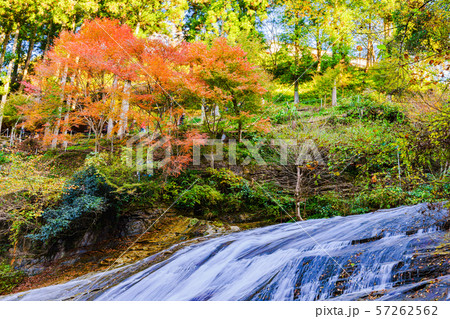 日本の秋のイメージ:首都圏を代表する紅葉の名所であり千葉のシンボルの養老渓谷の名瀑 粟又の滝の風景 日本の秋のイメージ:首都圏を代表する紅葉の名所であり千葉のシンボルの養老渓谷の名瀑 粟又の滝の風景 57262562