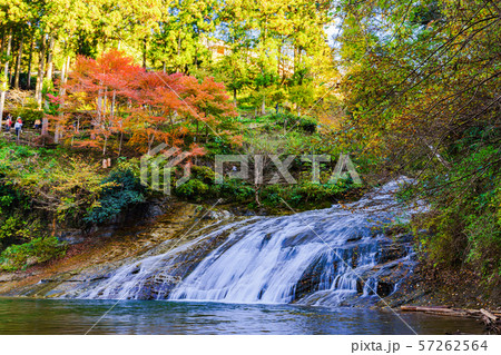 日本の秋のイメージ：首都圏を代表する紅葉の名所であり千葉のシンボルの養老渓谷の名瀑　粟又の滝の風景 57262564