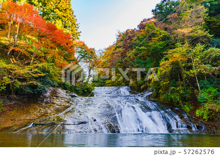 日本の秋のイメージ:首都圏を代表する紅葉の名所であり千葉のシンボルの養老渓谷の名瀑 粟又の滝の風景 日本の秋のイメージ:首都圏を代表する紅葉の名所であり千葉のシンボルの養老渓谷の名瀑 粟又の滝の風景 57262576