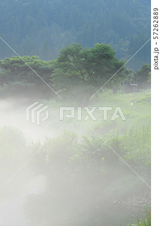 霧幻峡の渡し  霧 57262889