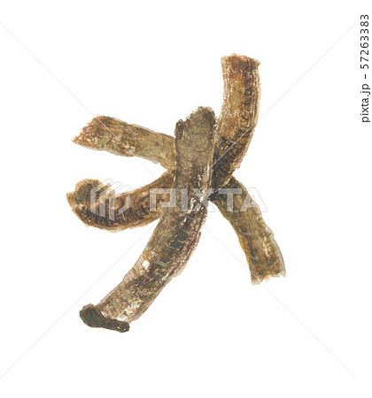 ニクジュヨウ 57263383