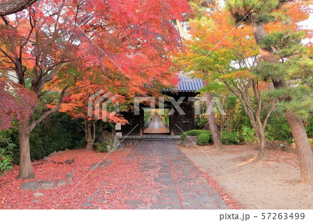 紅葉の輪王寺山門 紅葉の輪王寺山門 57263499