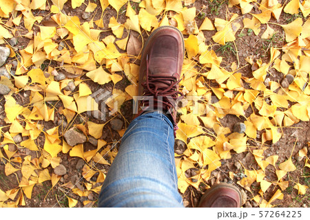秋のイメージ「銀杏と足元」 秋のイメージ「銀杏と足元」 57264225