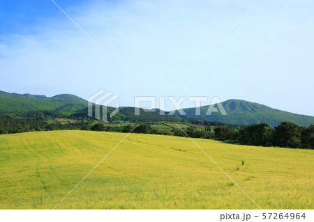 雲 快晴 景色 57264964