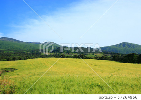 雲 快晴 景色 57264966