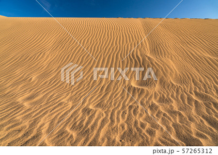 鳥取県 鳥取砂丘の風紋の写真素材