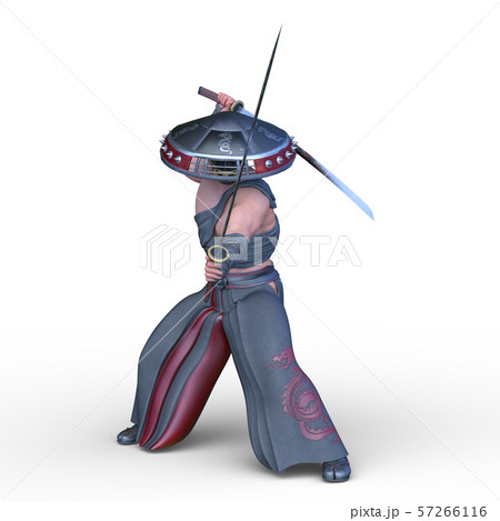 戦う僧侶 57266116