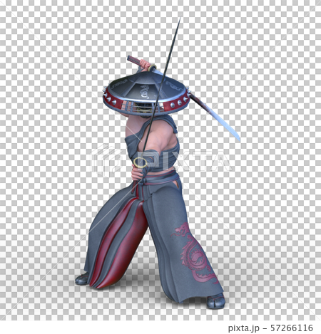 戦う僧侶 57266116