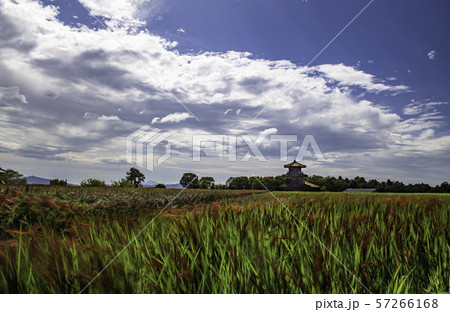 鞠智城 鞠智城 57266168