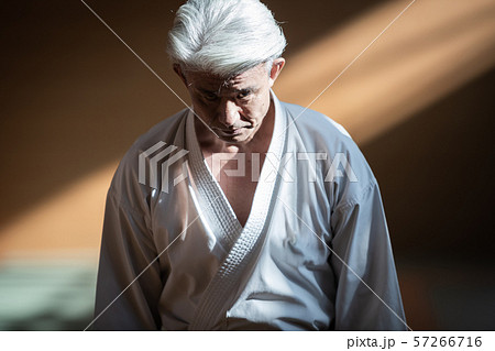 karateka karateka 57266716