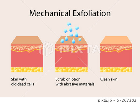 Mechanical exfoliation or peeling, vector illustration on light background Mechanical exfoliation or peeling, vector illustration on light background 57267302